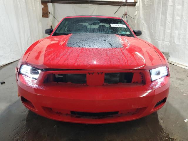 Photo 4 VIN: 1ZVBP8EM9C5283064 - FORD MUSTANG 