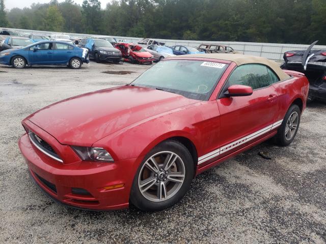 Photo 1 VIN: 1ZVBP8EM9D5204607 - FORD MUSTANG 