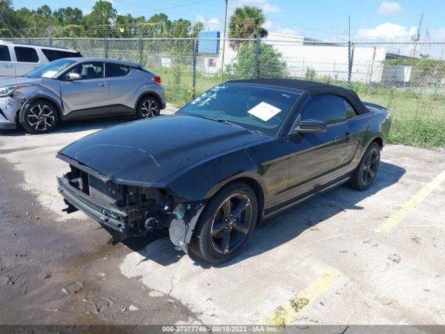 Photo 1 VIN: 1ZVBP8EM9D5204610 - FORD MUSTANG 