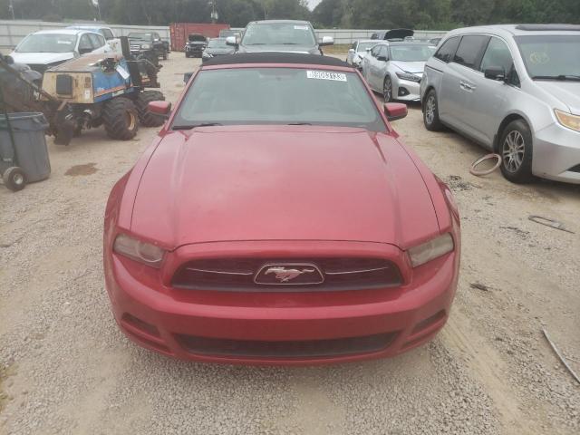 Photo 4 VIN: 1ZVBP8EM9D5215395 - FORD MUSTANG 