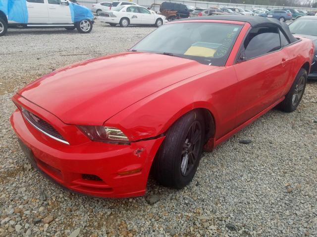 Photo 1 VIN: 1ZVBP8EM9D5234125 - FORD MUSTANG 