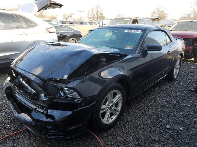 Photo 0 VIN: 1ZVBP8EM9D5242032 - FORD MUSTANG 