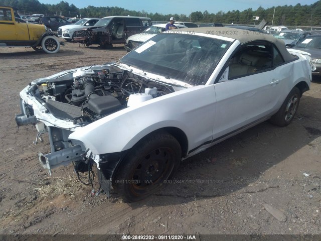 Photo 1 VIN: 1ZVBP8EM9E5240122 - FORD MUSTANG 