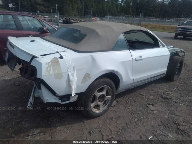 Photo 3 VIN: 1ZVBP8EM9E5240122 - FORD MUSTANG 