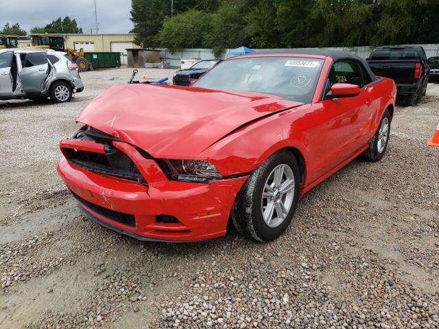 Photo 1 VIN: 1ZVBP8EM9E5282645 - FORD MUSTANG 