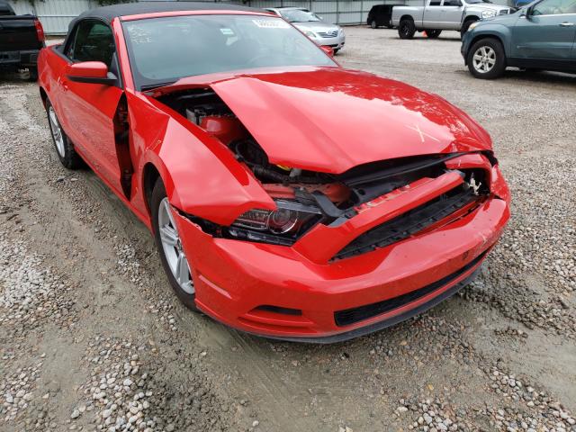 Photo 8 VIN: 1ZVBP8EM9E5282645 - FORD MUSTANG 