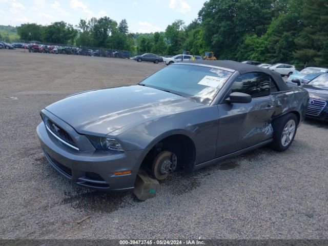 Photo 1 VIN: 1ZVBP8EM9E5292155 - FORD MUSTANG 