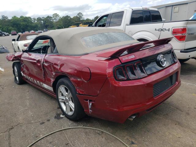 Photo 1 VIN: 1ZVBP8EM9E5322481 - FORD MUSTANG 