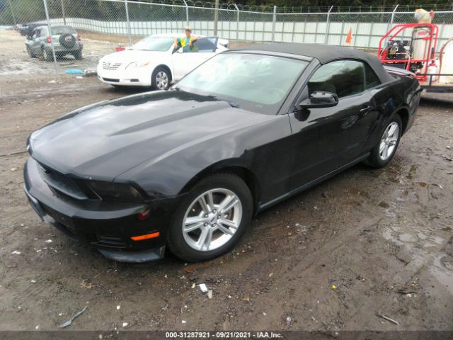 Photo 1 VIN: 1ZVBP8EMXB5133446 - FORD MUSTANG 