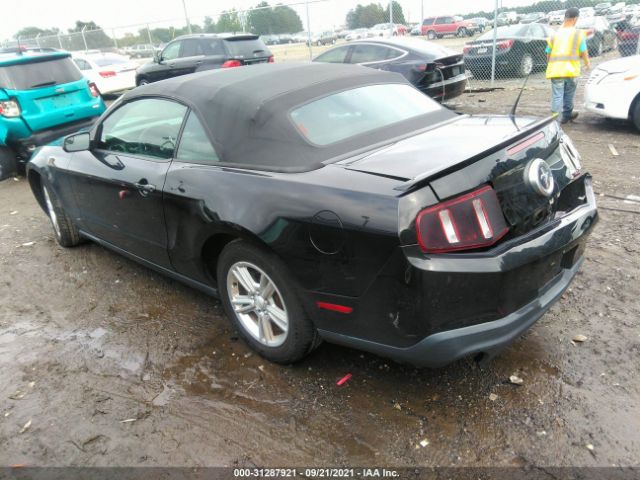 Photo 2 VIN: 1ZVBP8EMXB5133446 - FORD MUSTANG 