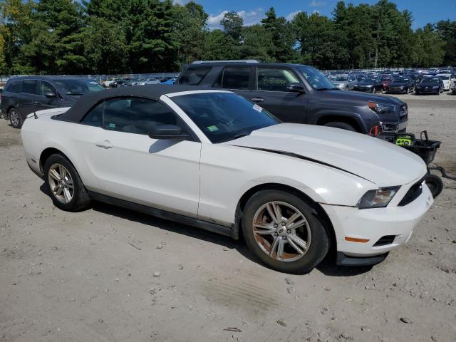 Photo 3 VIN: 1ZVBP8EMXC5201696 - FORD MUSTANG 