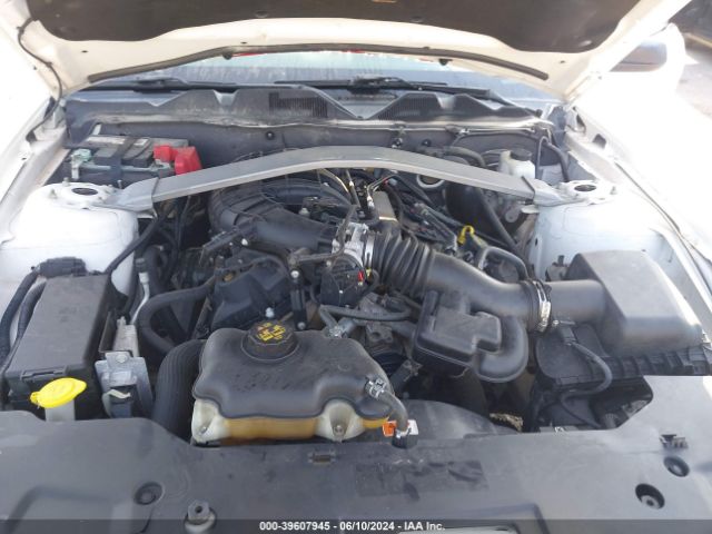 Photo 9 VIN: 1ZVBP8EMXC5286118 - FORD MUSTANG 