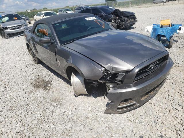 Photo 0 VIN: 1ZVBP8EMXD5215339 - FORD MUSTANG 