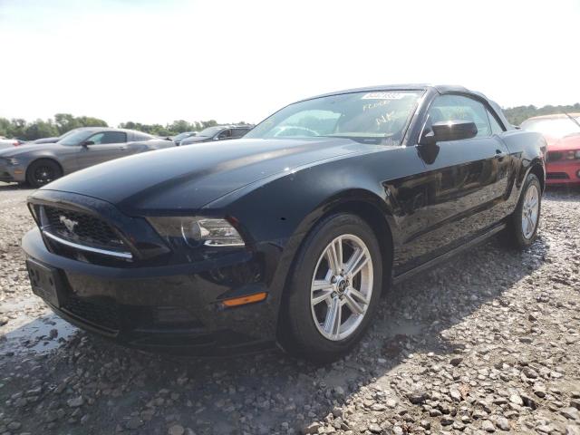 Photo 1 VIN: 1ZVBP8EMXD5217009 - FORD MUSTANG 