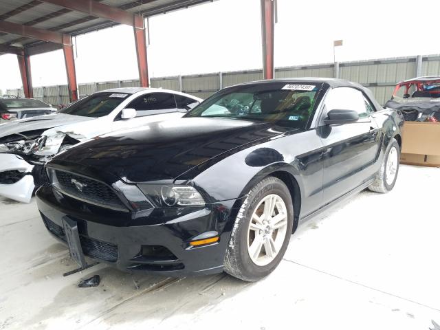 Photo 1 VIN: 1ZVBP8EMXE5229646 - FORD MUSTANG 