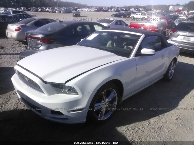 Photo 1 VIN: 1ZVBP8EMXE5238525 - FORD MUSTANG 