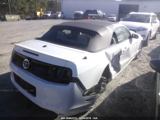 Photo 3 VIN: 1ZVBP8EMXE5238525 - FORD MUSTANG 