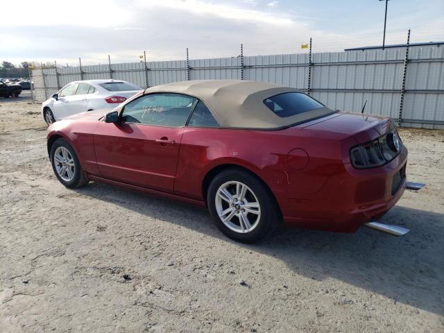 Photo 1 VIN: 1ZVBP8EMXE5243093 - FORD MUSTANG 