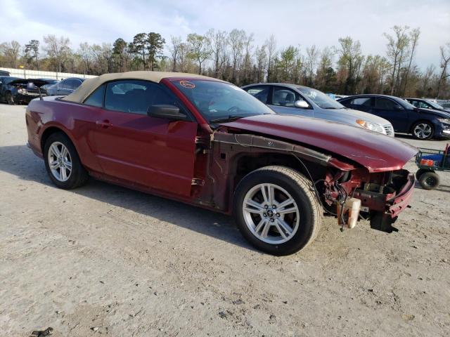 Photo 3 VIN: 1ZVBP8EMXE5243093 - FORD MUSTANG 