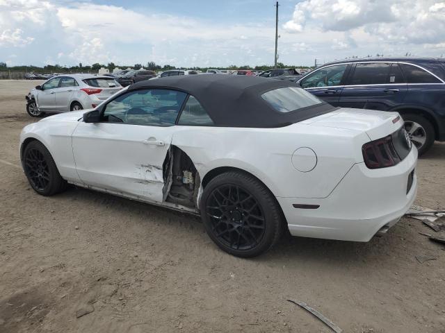 Photo 1 VIN: 1ZVBP8EMXE5293234 - FORD MUSTANG 