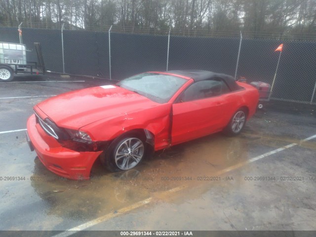 Photo 1 VIN: 1ZVBP8EMXE5322263 - FORD MUSTANG 