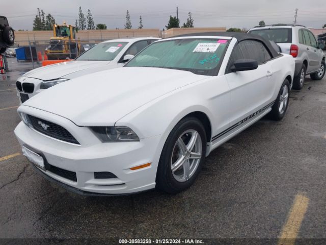 Photo 1 VIN: 1ZVBP8EMXE5328662 - FORD MUSTANG 