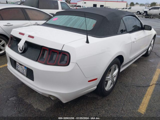 Photo 3 VIN: 1ZVBP8EMXE5328662 - FORD MUSTANG 