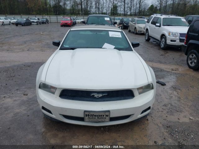 Photo 5 VIN: 1ZVBP8EN0A5110779 - FORD MUSTANG 