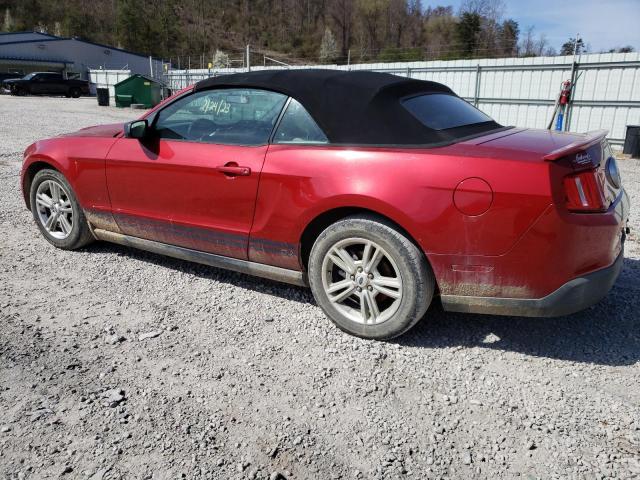 Photo 1 VIN: 1ZVBP8EN0A5178578 - FORD MUSTANG 