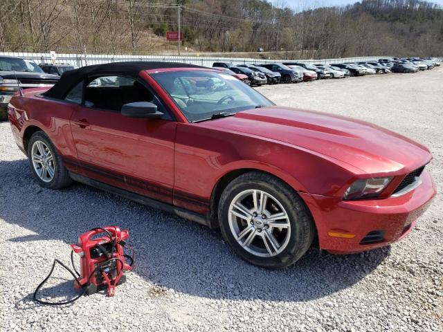 Photo 3 VIN: 1ZVBP8EN0A5178578 - FORD MUSTANG 