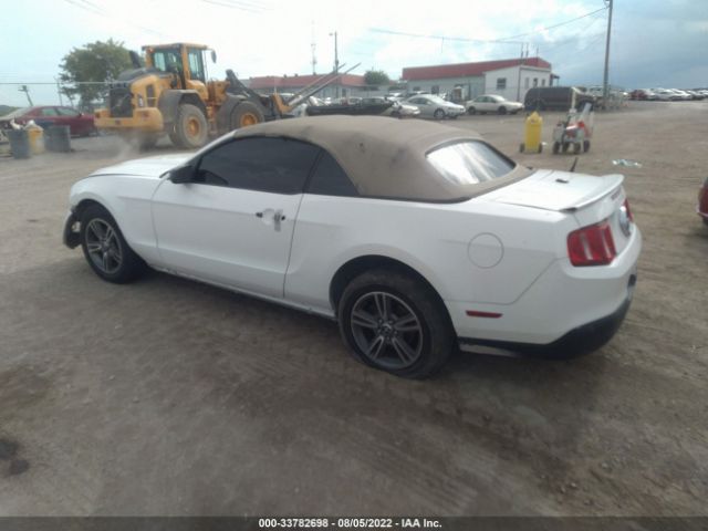 Photo 2 VIN: 1ZVBP8EN1A5170537 - FORD MUSTANG 