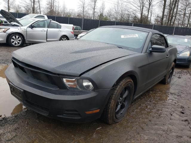 Photo 1 VIN: 1ZVBP8EN2A5141113 - FORD MUSTANG 