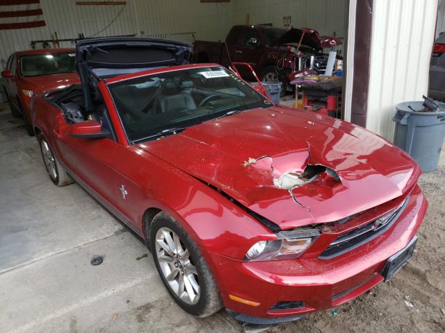 Photo 0 VIN: 1ZVBP8EN2A5151091 - FORD MUSTANG 