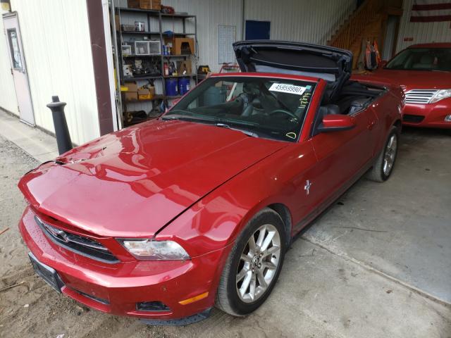 Photo 1 VIN: 1ZVBP8EN2A5151091 - FORD MUSTANG 