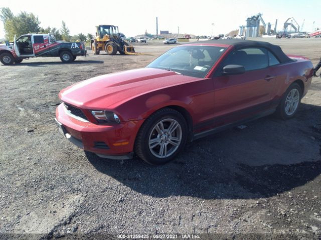 Photo 1 VIN: 1ZVBP8EN2A5171955 - FORD MUSTANG 