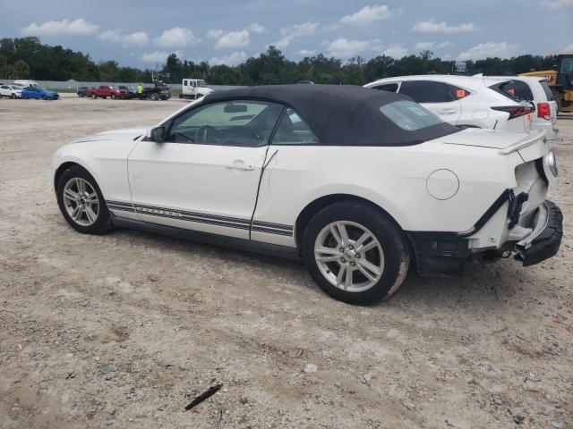 Photo 1 VIN: 1ZVBP8EN2A5173933 - FORD MUSTANG 