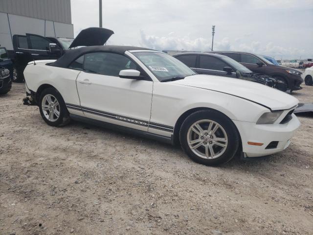 Photo 3 VIN: 1ZVBP8EN2A5173933 - FORD MUSTANG 