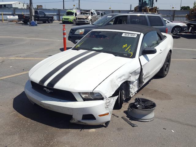 Photo 1 VIN: 1ZVBP8EN3A5114261 - FORD MUSTANG 