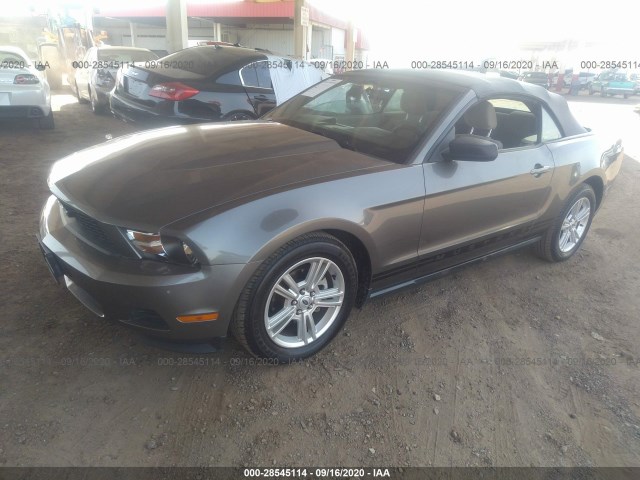 Photo 1 VIN: 1ZVBP8EN3A5122442 - FORD MUSTANG 