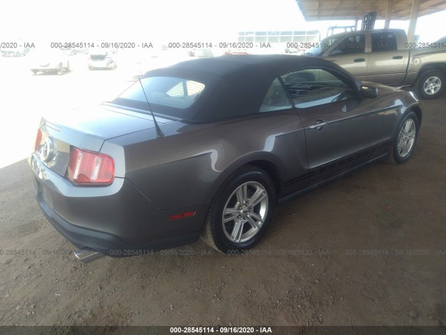 Photo 3 VIN: 1ZVBP8EN3A5122442 - FORD MUSTANG 