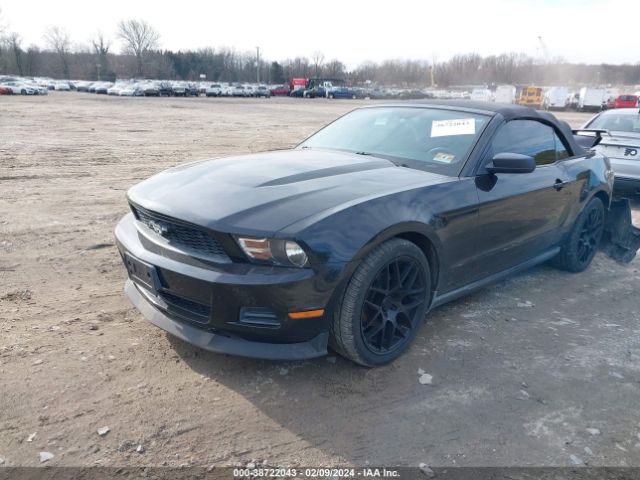 Photo 1 VIN: 1ZVBP8EN3A5135532 - FORD MUSTANG 