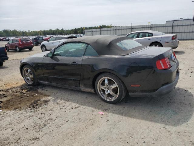 Photo 1 VIN: 1ZVBP8EN3A5163069 - FORD MUSTANG 