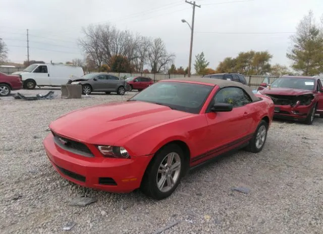 Photo 1 VIN: 1ZVBP8EN3A5174234 - FORD MUSTANG 