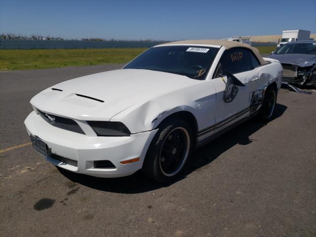 Photo 1 VIN: 1ZVBP8EN4A5107674 - FORD MUSTANG 