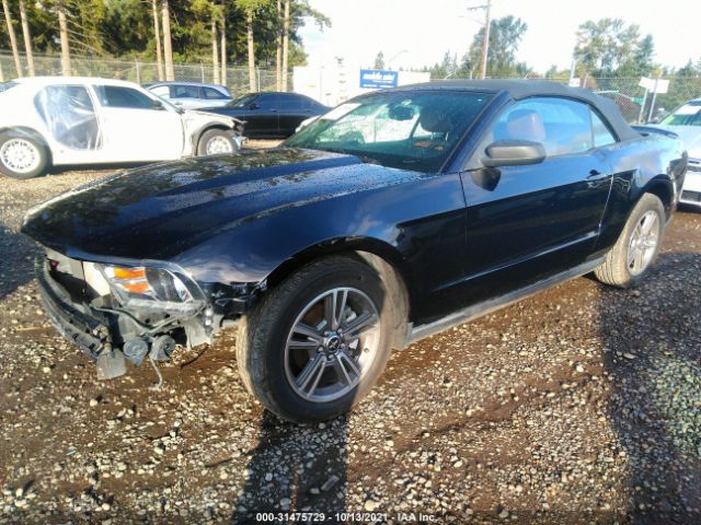 Photo 1 VIN: 1ZVBP8EN4A5127827 - FORD MUSTANG 