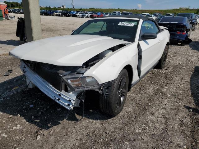 Photo 1 VIN: 1ZVBP8EN4A5169429 - FORD MUSTANG 