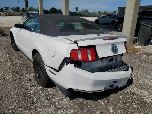 Photo 2 VIN: 1ZVBP8EN4A5169429 - FORD MUSTANG 