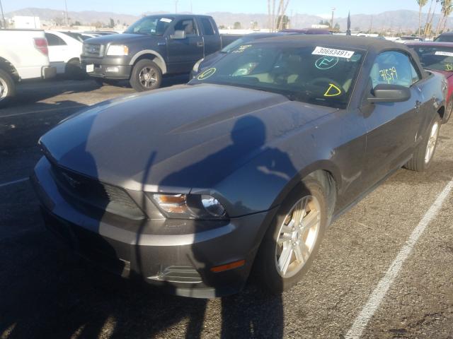 Photo 1 VIN: 1ZVBP8EN4A5175716 - FORD MUSTANG 