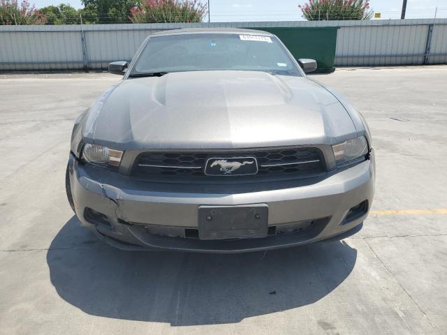 Photo 4 VIN: 1ZVBP8EN5A5138383 - FORD MUSTANG 