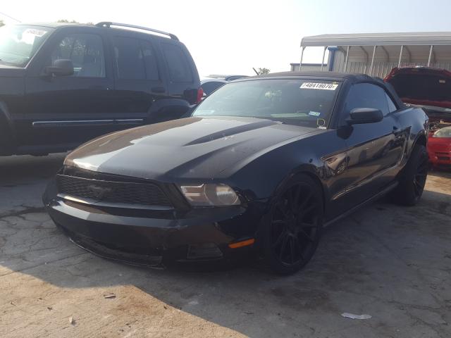 Photo 1 VIN: 1ZVBP8EN5A5172260 - FORD MUSTANG 